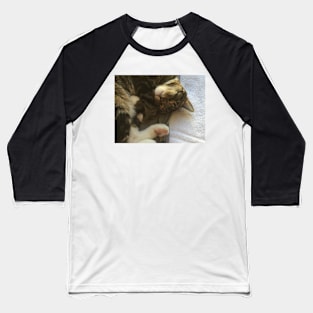 Henry Cat the Cutest Cat Sleeping Baseball T-Shirt